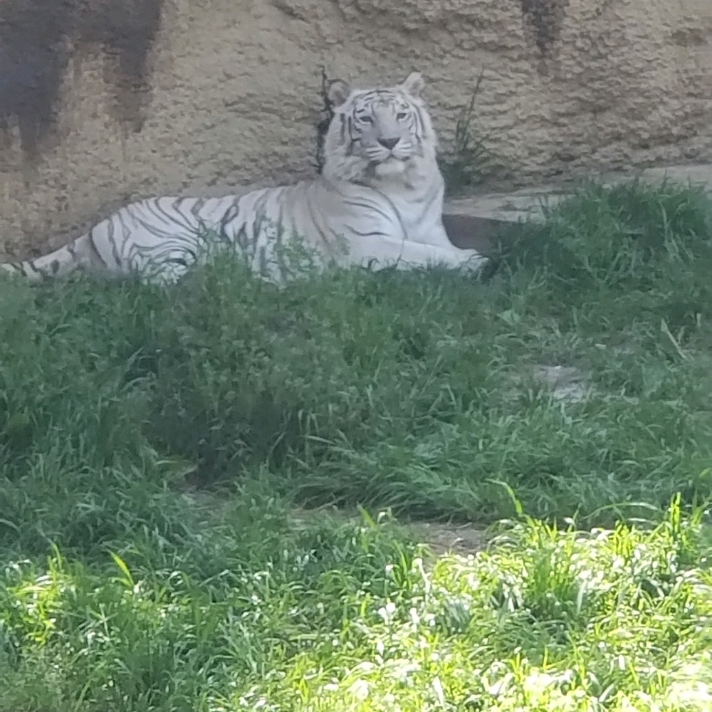 Meet your Posher, Kristi